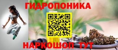 apvp Краснознаменск