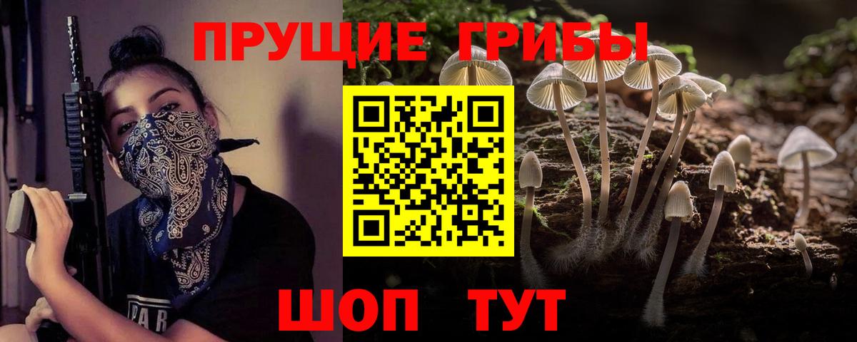 Псилоцибиновые грибы Cubensis Ишимбай