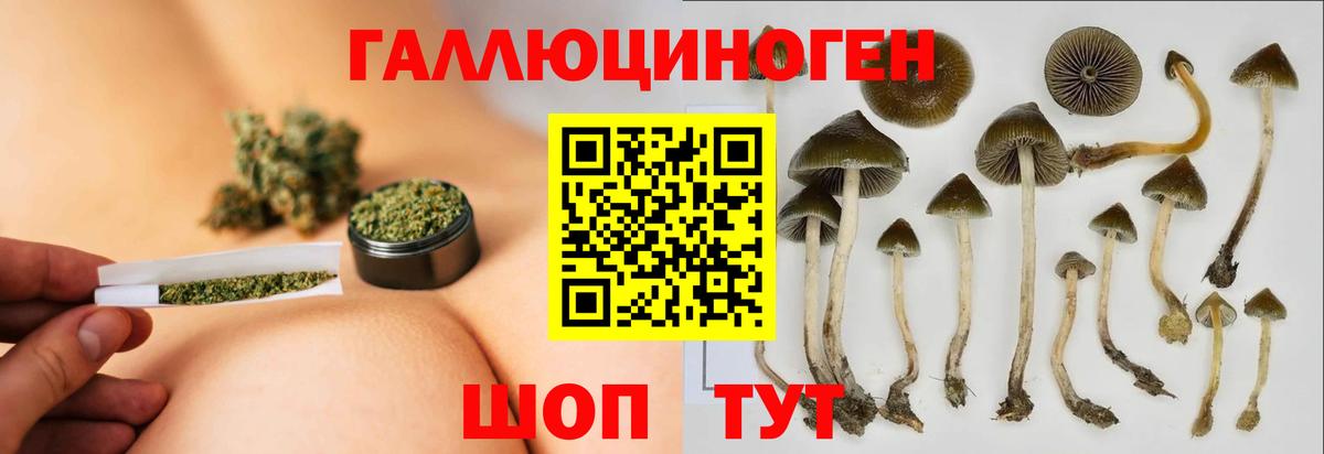 закладки  Вход с VPN  Ишимбай  Галлюциногенные грибы Magic Shrooms 