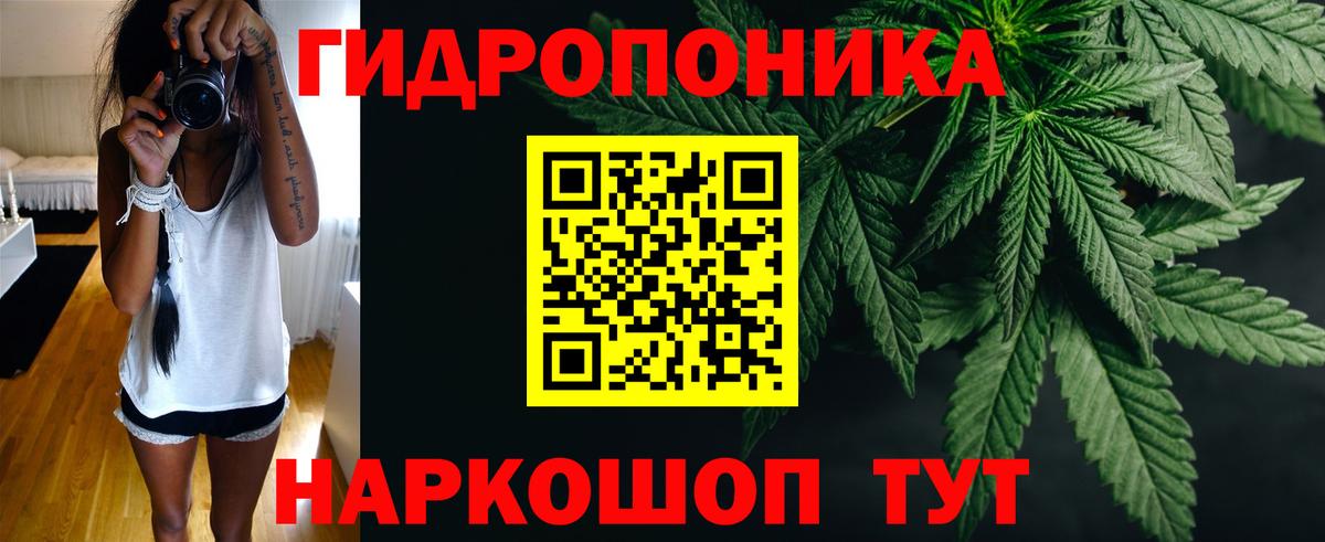 Канабис сатива Ишимбай